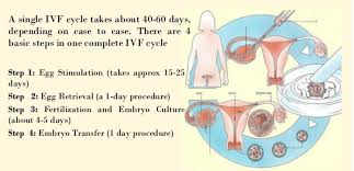 It's suitable for people with a wide range of fertility issues and is one of the most commonly. Repeated Cycles Of Ivf Drugs Can Lead To Heart Disease Researchers Punch Newspapers