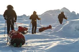 Hij ondernam reeds meerdere expedities naar antarctica en het hoge noorden. North Pole Level 3 Polar Experience 15 Day Trip Ipga Leader