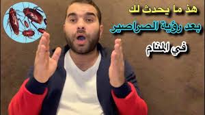 إنتبة رؤية الصراصير في المنام تدل علي الحسد والسحر فهل رأيتها وحدث لك ذلك Youtube