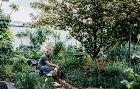 A Suburban Geelong Backyard Turned Thriving Permaculture Garden Permaculture Gardening Garden Visits Permaculture