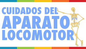 Resultado de imagen de SALUD Del aparato locomotor primaria