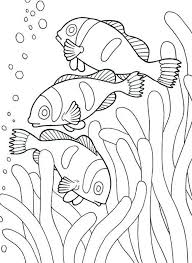 Coloring Pages Of Sea Animals Clown Fish Animal Coloring Pages Fish Coloring Page Coloring Pages