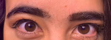 See full list on wikihow.com Katcontii On Twitter Come For The Unibrow Stay For The Unibrow I Have To Grow My Brows Or Should I Say Brow Out To Get Waxed For Twitchcon Now Live