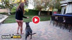 Filmando com pau … casada boqueteira especialista em chupar pinto de cachorro. Safada Tv Fazendo Um Sexo Com O Negao Roludo A Novinha Depois De Brincar Com Seu Cachorro Xvideo Videos Porno Filmes De Sexo Xvideos Brasil