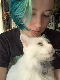 Has anyone seen a cat in the area of Memory Lane/Desimone Drive