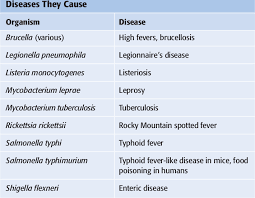 Image result for Intracellular Bacteria