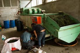 The product is fed into the machine and moves continuously forward in the direction of the horizontal vibrating force. Tea Processing Drying Tea Epicure