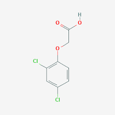 2 4 Dichlorophenoxyacetic Acid C8h6cl2o3 Pubchem