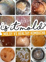 does kombucha go bad