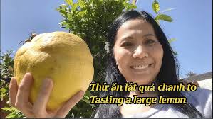 Tình đã vụt bay (vui)254