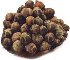 Image result for Thespesia garckeana