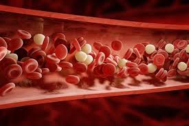 Video a cura del prof. Piastrinopenia O Piastrine Basse Quando Preoccuparsi Cause Sintomi E Cure Sanioggi It