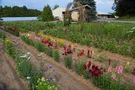 We did not find results for: Gardenview Flowers U Pick Flowers Ticket Gardenview Flowers