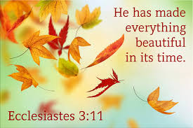 Ecclesiastes 3:11 | joshtinpowers | Flickr