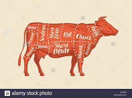 Meat Cut Charts Cow Butcher Shop Beef Vector