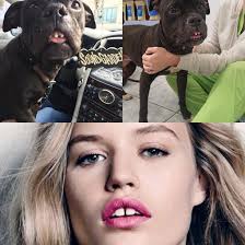 This Dog Has The London Look Meme Guy