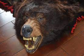 Looking for a good deal on bear rug? Lot Detail Authentic Vintage Black Bear Skin Rug
