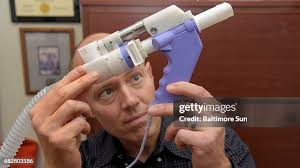 1,239 Perna Stock Photos, High-Res Pictures, and Images