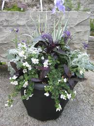 Container Design Wild At Heart Design Summer Planter Garden Containers Container Flowers