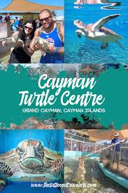 Spending A Day At The Grand Cayman Turtle Farm Grand Cayman Island Caribbean Travel Grand Cayman