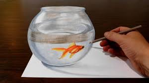 Grace color pencil fish drawing by karin phifer picture of. Drawing A Goldfish Bowl Optical Illusion Trick Art Youtube