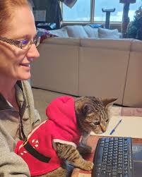 Lakeshirts (@lakeshirts_) • Instagram photos and videos