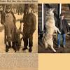 Some of the most interesting facts about the dire wolf is its size and weight statistics. Https Encrypted Tbn0 Gstatic Com Images Q Tbn And9gcresr2octadc4bcbbbtwrndumoutuioia5 Whbdcidnqbo30saz Usqp Cau