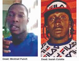 Driver in Liliendaal accident succumbs