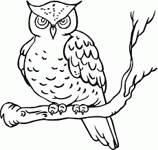 Download owl coloring pages pictures to print. Simple Owl Coloring Pages For Kids Drawing With Crayons