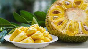 Kita simak penjelasannya dibawah ini. 4 Bahaya Makan Buah Nangka Saat Hamil