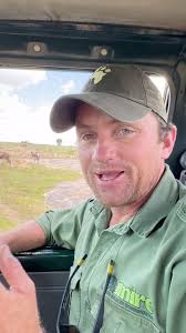 Look at this beautiful blesbok herd