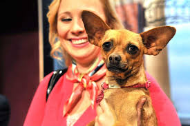 WT shows 'Blonde' ambition with new musical