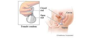 Image result for how to insert male organ into female organ