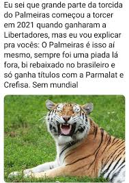 Palmeiras vs tigres tips & predictions. Memes Do Palmeiras Eliminado Neste Domingo 07 02 Mais Nacional