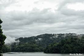 Taman negara national park a novel journey on the path more travelled. Royal Belum State Park æˆ'æƒ³æŠŠä½ åŸ‹åœ¨å¿ƒåº• å˜æˆç§˜å¯†