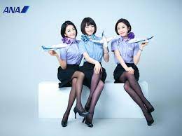 ボード all nippon airways 全日本空輸 のピン