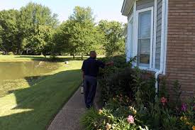With over 30 years of combined pest control experience, alliance pest control guarantees quality, professional service for all of your needs, from quarterly sprays to termite inspections and treatments. Bug Doctor Pest Control 8210 Elmwood Dr Olive Branch Ms 38654 Yp Com