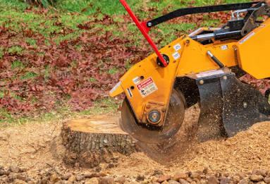 A professional stump grinder shaving down a stubborn yard obstacle, AI generated