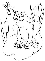 May 14, 2014 · these free printable coloring pages feature unique lily pad pictures with stunning backgrounds that allow your kids to further explore their creative sides. Online Coloring Pages Frog Coloring Frog On A Lily Pad The Frog