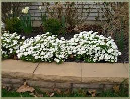 He weighed 7 pounds, 8 ounces and was 20 inches long. Pin On Diy Gardening Ideas