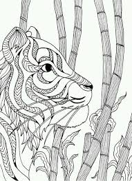 On this page i'll tell you all about the best markers, colored pencils, gel pens, or pens that i use for coloring, and discuss the pros and cons of various brands. Pin By Thulasi Leopard Siva On Coloring Lion Tiger School Art Supplies Coloring Pages Cat Coloring Page