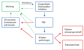Https Www Bag Admin Ch Dam Bag De Dokumente Mt P Und P Richtlinien Empfehlungen Sexuell Uebertragene Infektionen Mit Chlamydia Trachomatis Pdf Download Pdf Sexuell Uebertragene Infektionen Mit Chlamydia Trachomatis Pdf