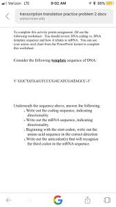 Transcription translation practice worksheet fresh crime scene from transcription and translation worksheet answers, source. Transcription And Translation Practice Worksheet Answers Worksheet List