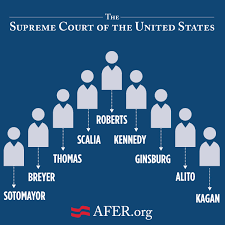 Inside The Supreme Court The Case For Marriage Equality And