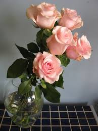 Download and use 60,000+ flowers stock photos for free. 10 Secrets For Keeping Fresh Flowers Alive Longer First Come Flowers