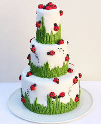 The World Of Cakes Ladybug Cake Ladybug Cakes Amazing Cakes