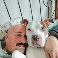 Female pitbull found, needs temporary foster home