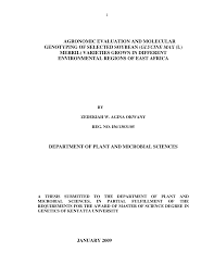 Image result for Ophrestia radicosa