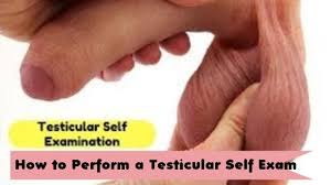 It is important to know what feels normal and to be able to notice any changes. Testicular Cancer Exam How To Perform A Testicular Self Exam Youtube
