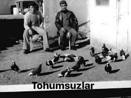 Aydin Donek Guvercin Gonderiler Facebook